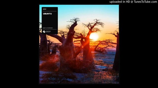 EDX - Ubuntu (Tribal Mix) смотреть онлайн