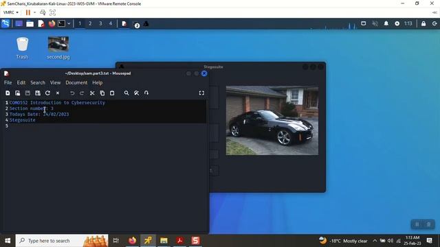 Stegosuite hidden text under image on Kali смотреть онлайн