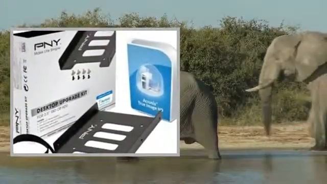 SANDISK SSD interne смотреть онлайн