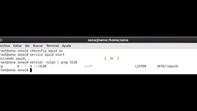 PROXY LINUX-WINDOWS (SQUID) смотреть онлайн