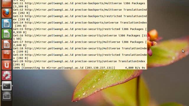setiing ip addres dhcp, mengubah alamat repository, update & upgrade ubuntu 12 04 смотреть онлайн