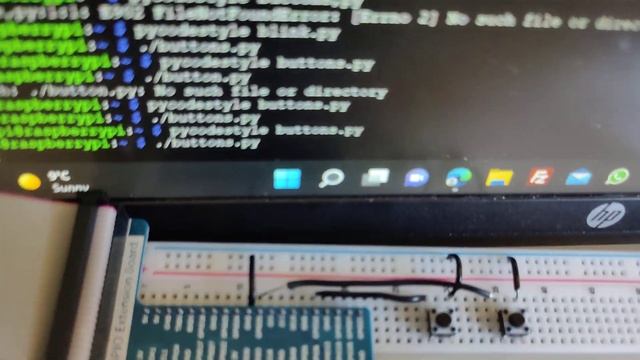 To demonstrate blinking of LEDs and change the time interval using 2 push buttons in Linux :) смотреть онлайн