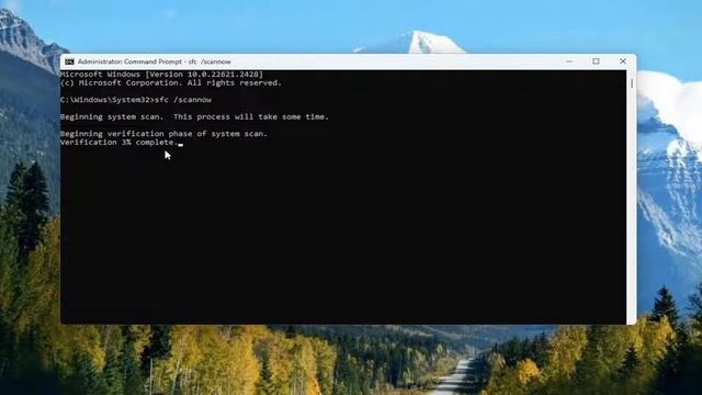 How To Fix Windows 11 Apps Not Opening [2024 Guide] смотреть онлайн