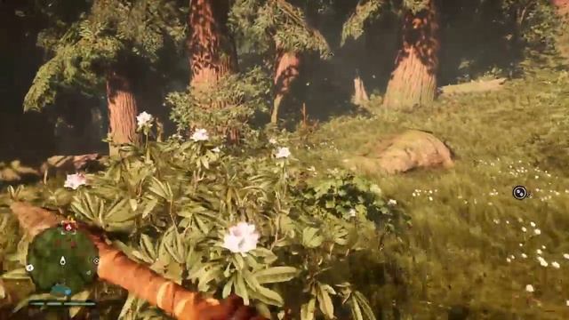 Farcry primal homo erectus webos perfectus cap.3 смотреть онлайн