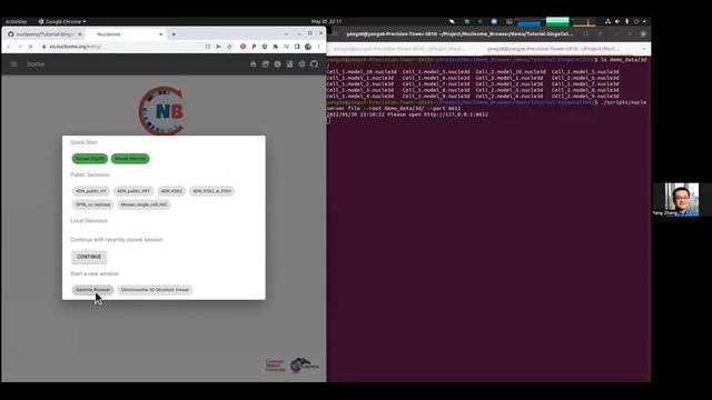 Tutorial on visualizing custom data on Nucleome Browser (Linux version) смотреть онлайн