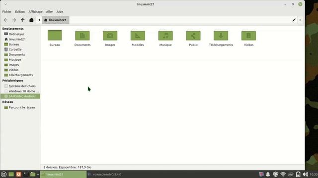 Linux Mint 21 xfce VS apperçu (image video) par default SD carte смотреть онлайн