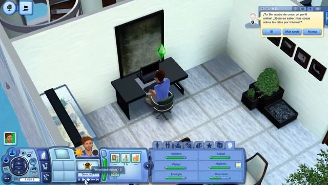 Gameplay 1: Sims 3 Aventura en la Isla / Honey, el nuevo gato. смотреть онлайн