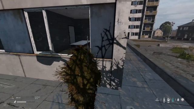 DayZ | Sniped him through the window смотреть онлайн