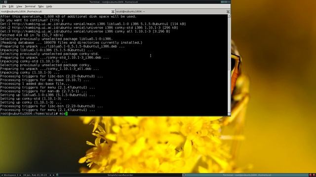 howto install conky on Linux Xubuntu 1604 in English 20170104 смотреть онлайн