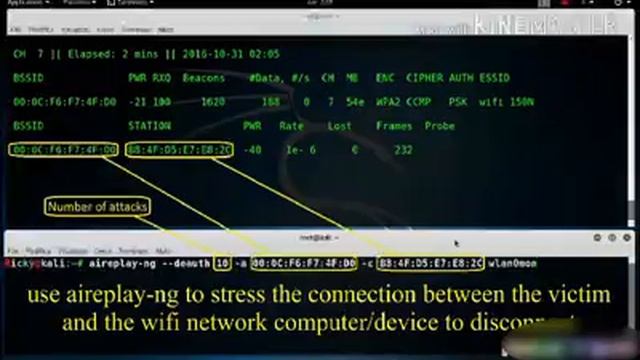 How To Hack WiFi on Kali Linux смотреть онлайн