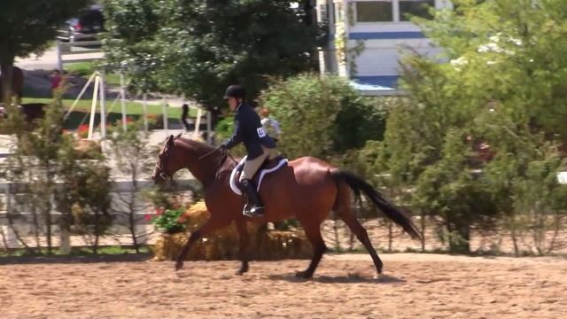 Tyler Special Adult Htr 2 from the Lexington National 8-12-12 смотреть онлайн