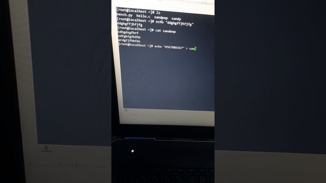 How to use echo command in linux смотреть онлайн