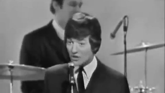 The Hollies - Look Through Any Window смотреть онлайн