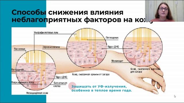 Вебинар. Мужской крем для лица Revilab смотреть онлайн