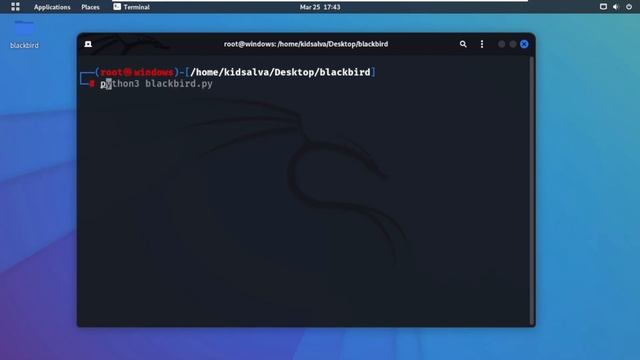 Find Social Media Accounts In Sec By OSINT Tools смотреть онлайн