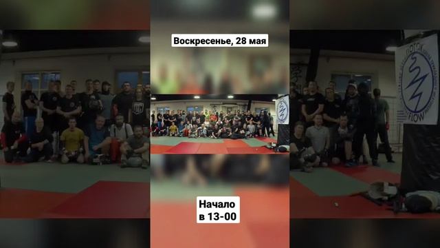 Открытые оружейные ковры в Потоке #shorts