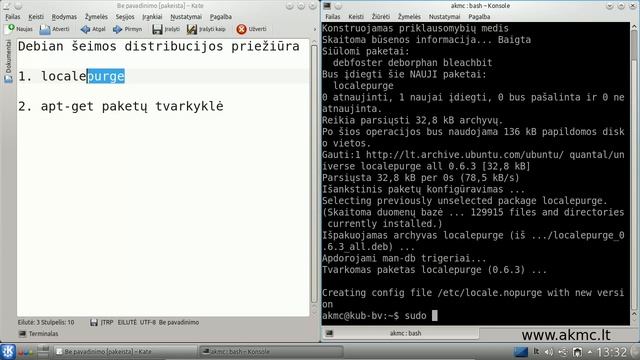Debian šeimos distribucijų valymas смотреть онлайн