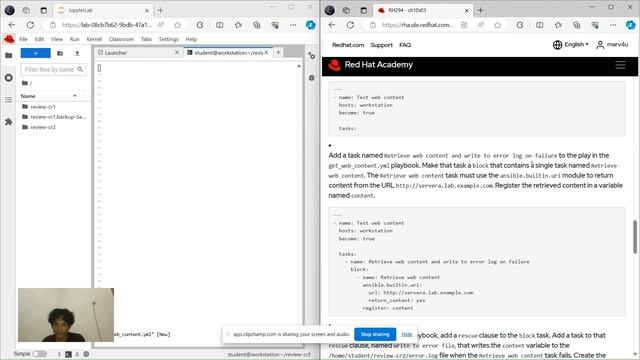 Managing Linux Hosts and Using System Roles смотреть онлайн