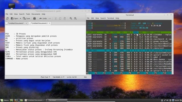 Cara Menginstall dan Menggunakan Htop di Linuxmint смотреть онлайн