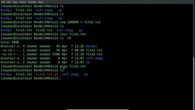 gzip and bzip2 command in detail on CentOS. #DevWithMoto смотреть онлайн