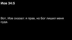 День 147. Библия за год. С митрополитом Иларионом.