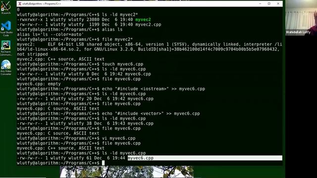 The C++ Vector or Dynamic Arrays Data Structure смотреть онлайн