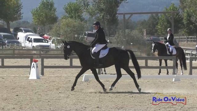 124D Sue Buxton On Dancing In The Dark Novice AM Dressage Woodside August 2023