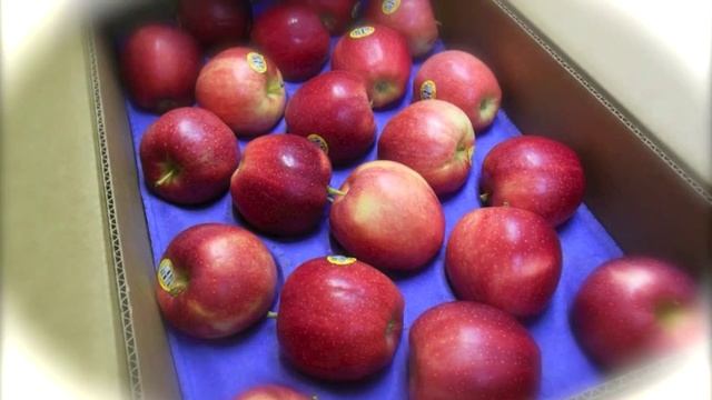 700 ORGANIC Apples for Apple Crunch Day смотреть онлайн