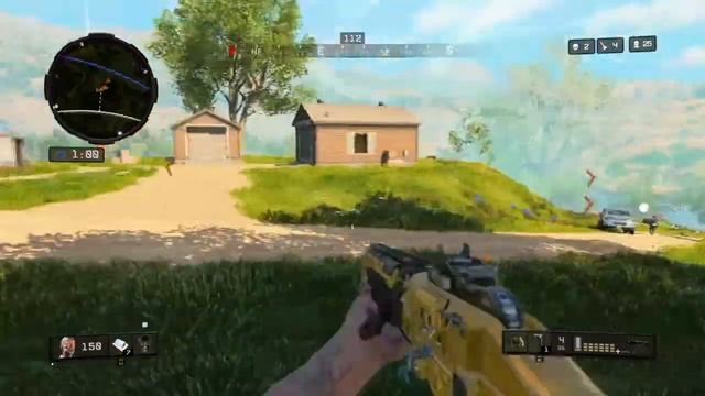 Shotgun Drivers Seat Call of Duty: Black Ops 4 Blackout смотреть онлайн