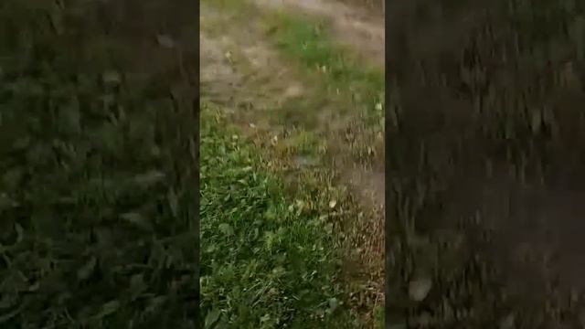 Обзор 3 машин пижо406 форд и Жигули 5