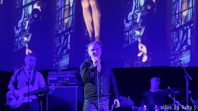 Morrissey-SAINT IN A STAINED GLASS WINDOW-Castro Theater, San Francisco-Nov 18, 2022 #Moz #TheSmith смотреть онлайн
