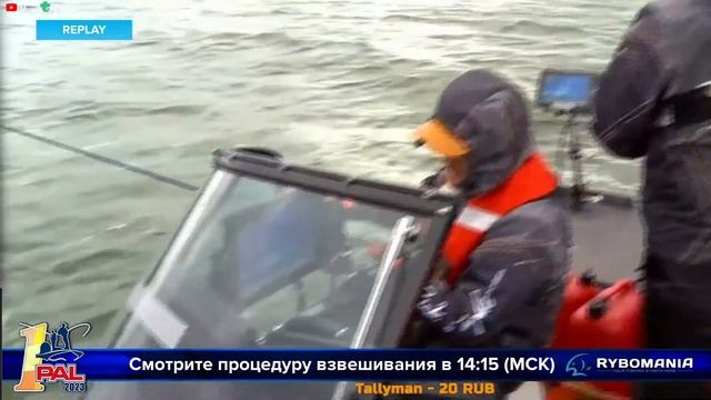 PAL 2023 День судака!!!#судак