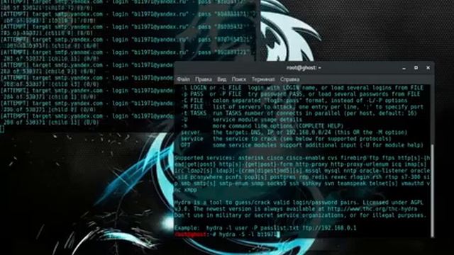 GHOST selection of password using Hydra смотреть онлайн