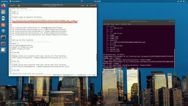 Create self-signed SSL certificate in Linux with Public Key Infrastructure смотреть онлайн