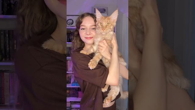 Ихихихих Книги и котики правят этим миром 🐈🐈⬛📖 смотреть онлайн