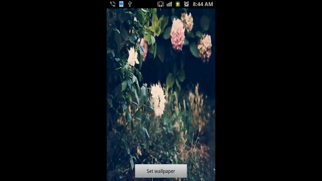 nature live wallpaper смотреть онлайн