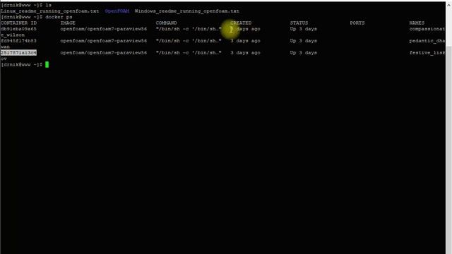Terminating Docker processes on the Linux system смотреть онлайн