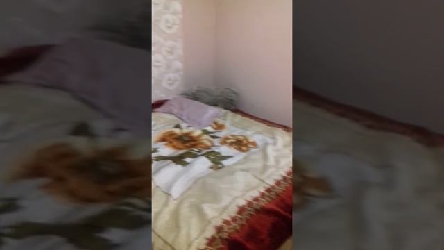 Топ 3 типы братьев и сестёр!!!!Подрались с сестрой! !!! смотреть онлайн