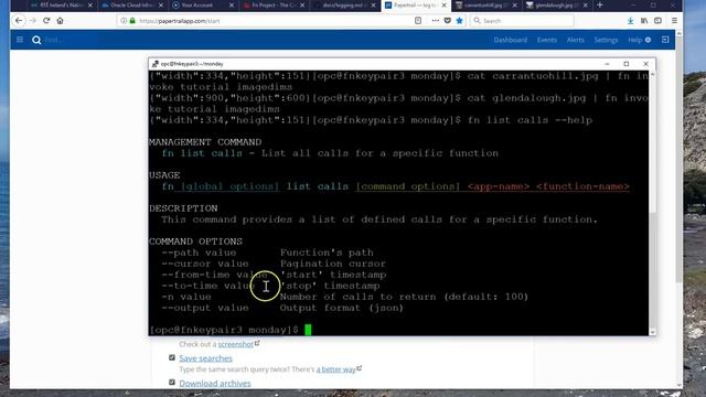 fnproject.io --- logging to papertrail смотреть онлайн