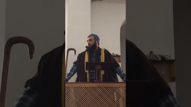 Достоинства зикра смотреть онлайн