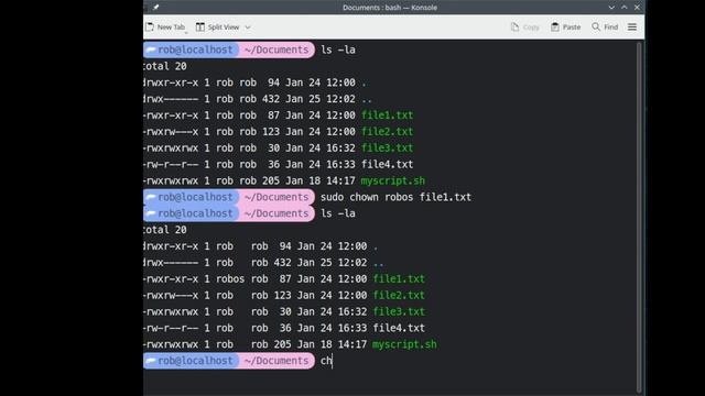 Ep 21 -Linux Change Ownership Command смотреть онлайн
