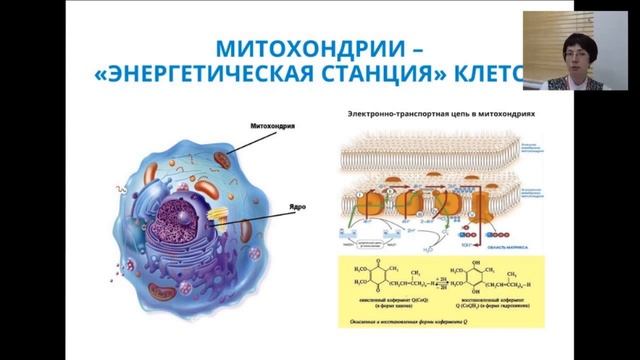Запись вебинара, 21 сентября 2017 г. смотреть онлайн