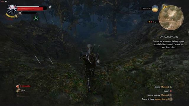 Casual Gamer on Linux : The Witcher 3 Story (Lutris+GOG) - 022 (Grranny of the swamp Part 3) смотреть онлайн