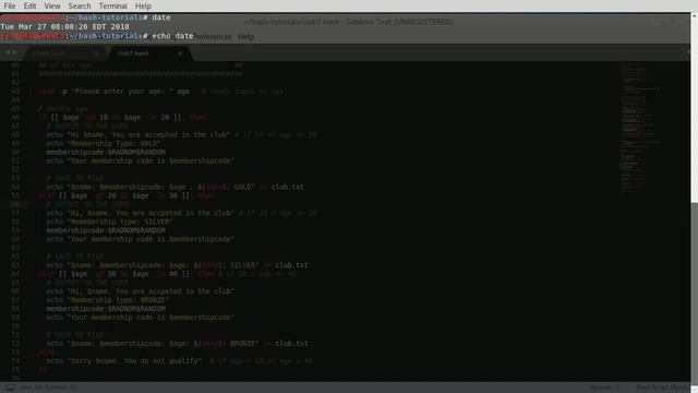 9 - the access member function смотреть онлайн