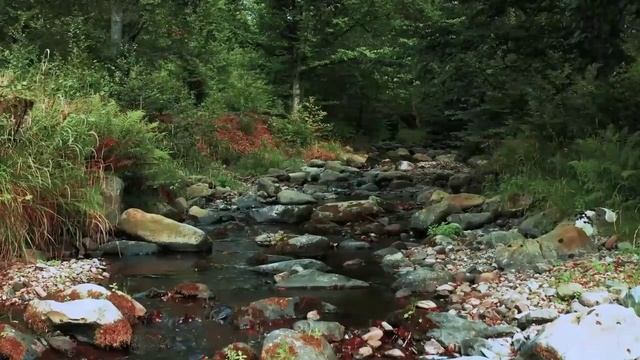 Жак Фреско поведение под замком смотреть онлайн