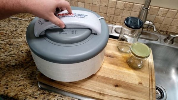 How To Make DEHYDRATED APPLES Day 19,033