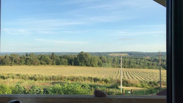 The Window [for WindowSwap] смотреть онлайн