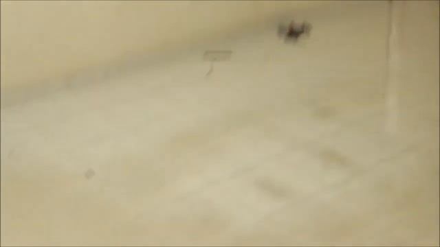 Are you going crazy like him? смотреть онлайн