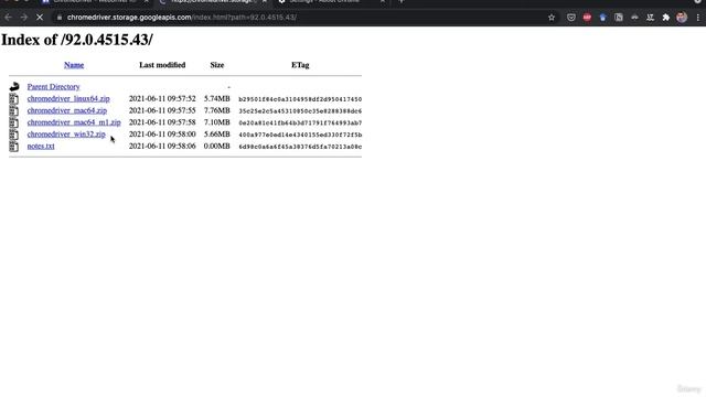 022 Installing Selenium and ChromeDriver смотреть онлайн