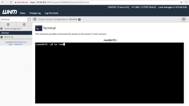 cPanel Tutorial: WHM Terminal смотреть онлайн